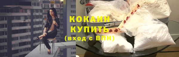 марки lsd Бородино